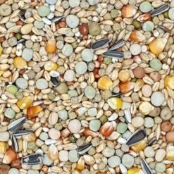 VERSELE-LAGA Versele Plus Mauser 22kg Promo