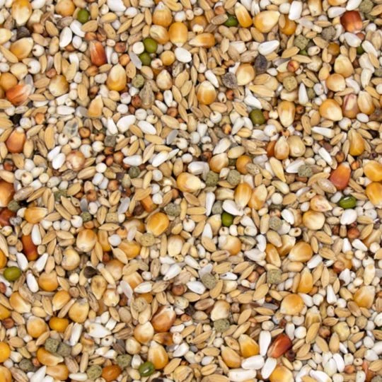 VERSELE-LAGA Versele Plus Gerry 20kg 1 VERSELE-LAGA Versele Plus Gerry 20kg