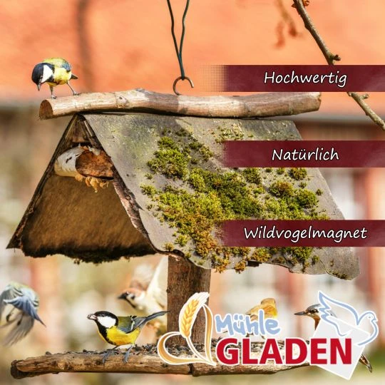 Gladen - Wildvogelfutter Fettreich Mit Rosinen - 2,5kg 2 Gladen - Wildvogelfutter Fettreich Mit Rosinen - 2,5kg – Bild 2