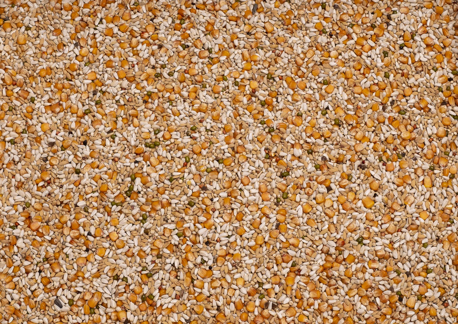 Beyers Premium Vandenabeele 20Kg 1 Beyers Premium Vandenabeele 20Kg